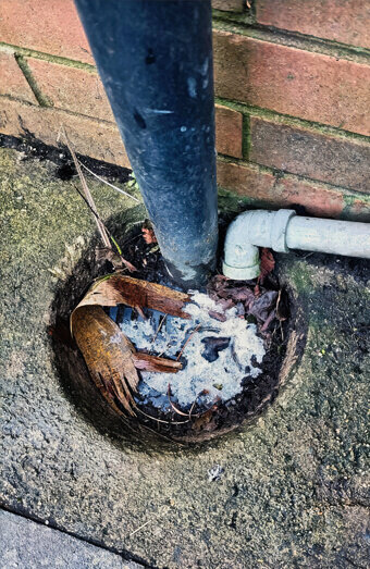 https://plumberpalmyra.com.au/uploads/2025/06/blocked-drains-294506.jpg