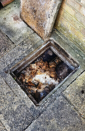 https://plumberpalmyra.com.au/uploads/2025/06/blocked-drains-465055.jpg
